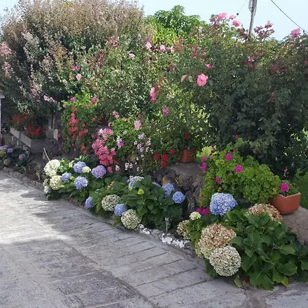 Casas Hoya Limpia- Solo Adultos
